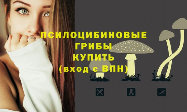 марки nbome Алексеевка