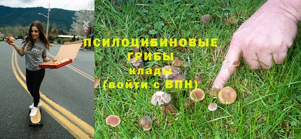 марки nbome Алексеевка