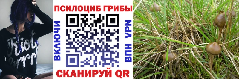 hydra рабочий сайт  сайты даркнета состав  Галлюциногенные грибы мицелий  Верхоянск 